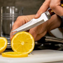 Professional COLEY Premium Knife [UrbanBAR] for Bartenders
