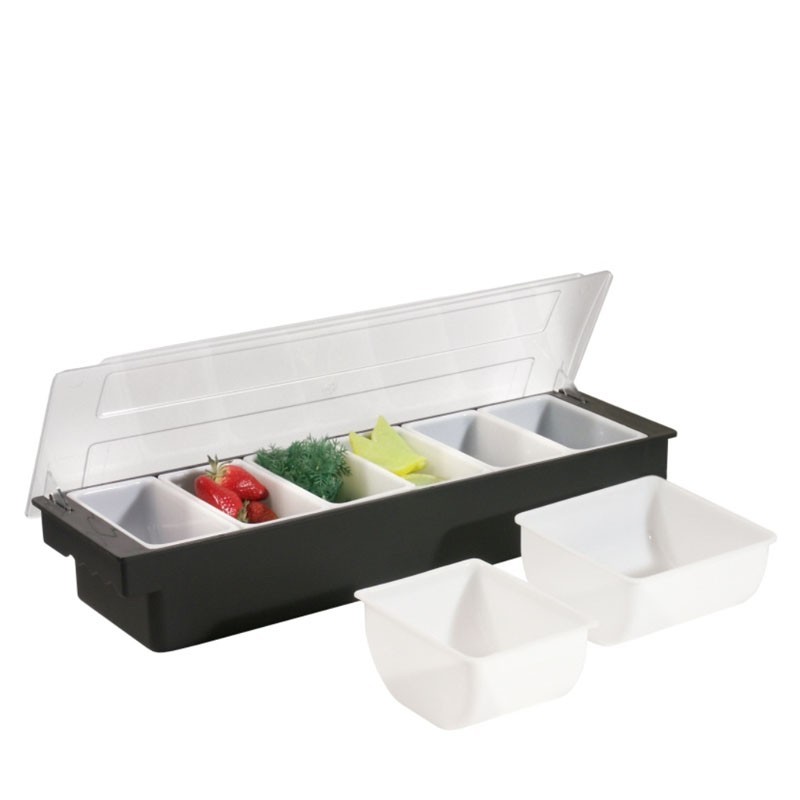 Fruit Tray / Condiment Holder - Plastic, 6 Comp. x 1 Pint
